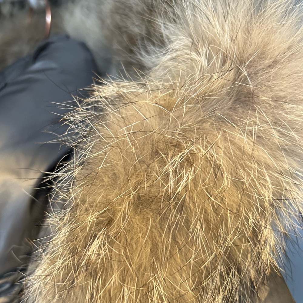 MACKAGE puffer - Picture 8 of 9